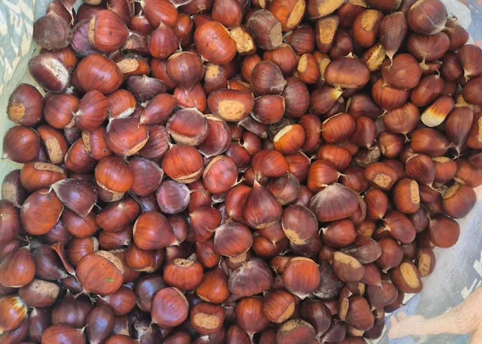 Arghjola Порто-Веккьо