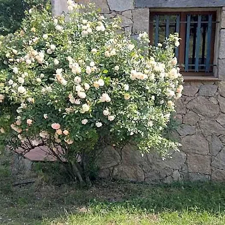 Arghjola Πόρτο Βέκιο