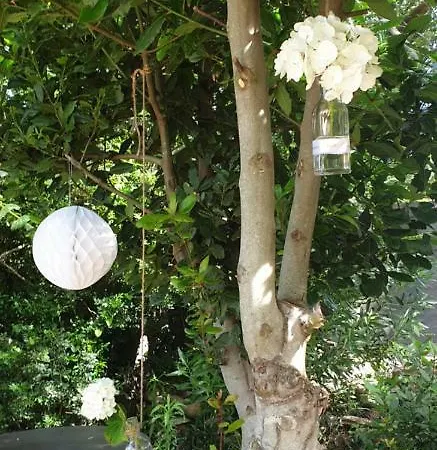 Couette-café Arghjola Porto-Vecchio (Corsica)