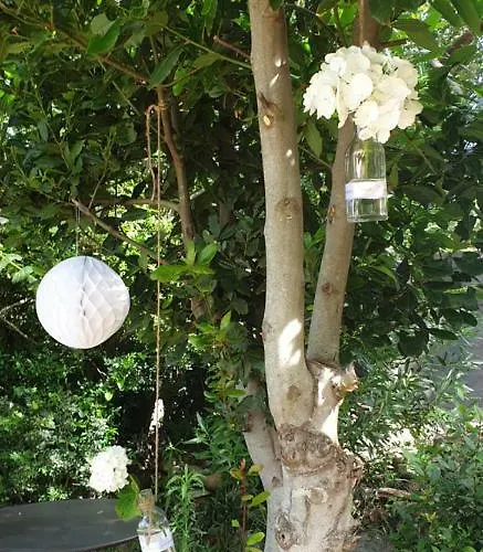 Bed & Breakfast Arghjola Porto-Vecchio (Corsica)